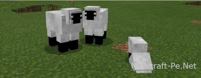 Мод "Херобрин Везде" [1.0] [0.17.0]