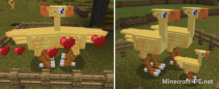 Мод Chocobos [1.1] [1.0] [0.17.0]