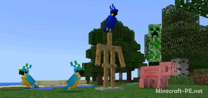 Мод Solid Entities [1.2] [1.1.4] [1.1]