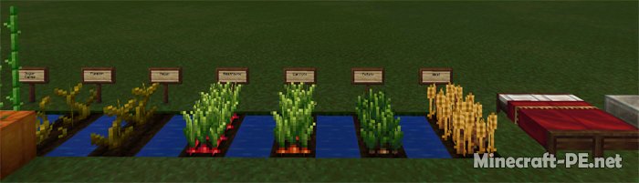 Текстурпак Wayukian (16x) [1.2] [1.1.5] [1.1]