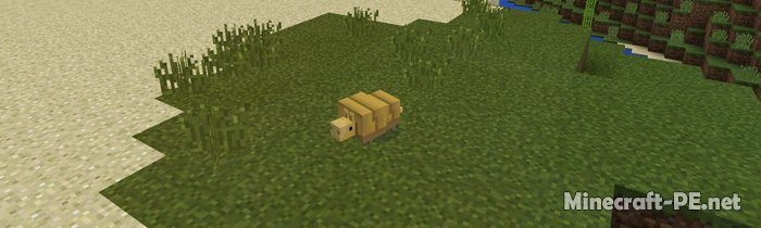 Мод Pocket Creatures [1.5] [1.4] (Больше животных)