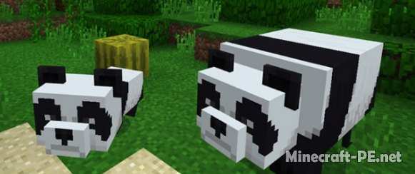 Мод Panda Bear [1.6] [1.5] (Панда)