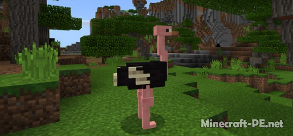 Мод Ostrich  [1.6] [1.5] (Страусы)