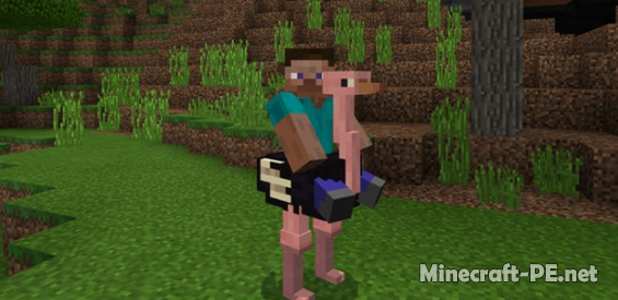 Мод Ostrich  [1.6] [1.5] (Страусы)