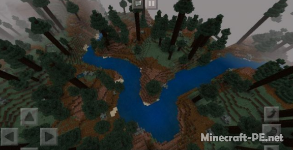 Сид Гигантский хвойный лес [1.4]