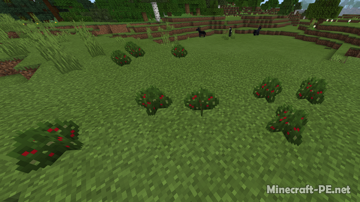 Мод Продовольственная экспансия Страта!